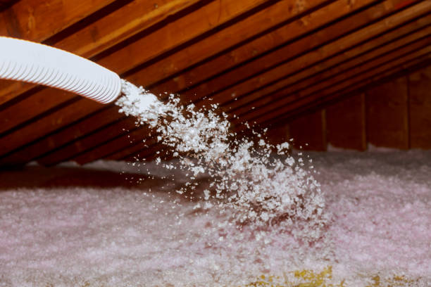 Iowa, LA Insulation Contractor Pros