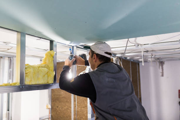 Best Spray Foam Insulation  in Iowa, LA