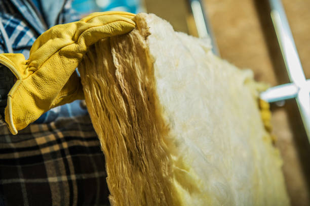 Insulation for New Construction in Iowa, LA