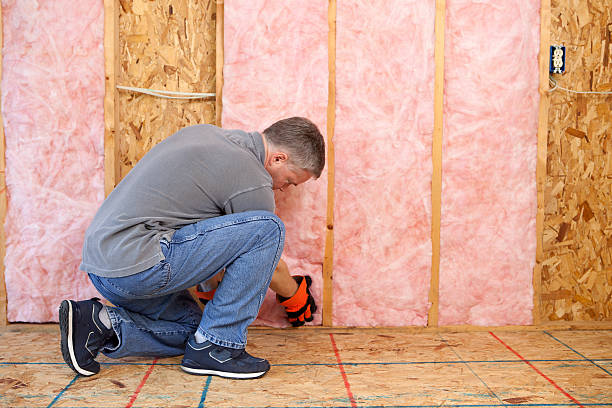 Best Local Insulation Services  in Iowa, LA