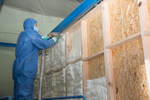 Best Insulation Installation Cost  in Iowa, LA