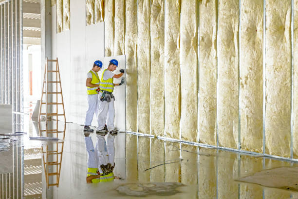 Best Insulation Repair Services  in Iowa, LA